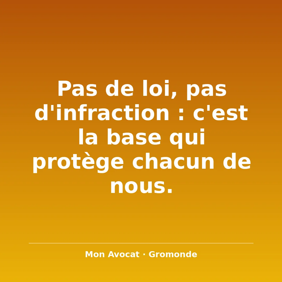 Le principe de légalité : nul crime sans loi Aujourd'hui, parlons d'une notion fondamentale du droi…